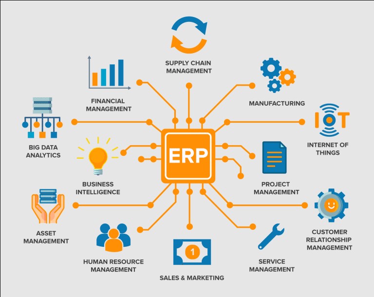 Enterprise Resource Planning Systems